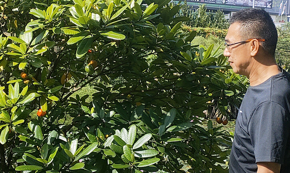 (已签发)柔:封面特稿:SME城湿地、老街草皮屋、市区菜园,介绍古来新打卡风景线