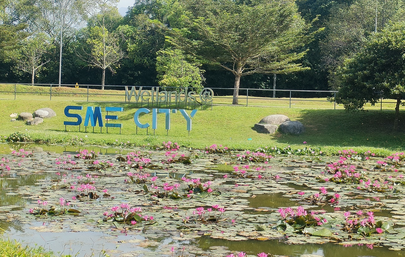 (已签发)柔:封面特稿:SME城湿地、老街草皮屋、市区菜园,介绍古来新打卡风景线