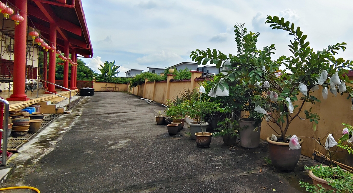 NS芦骨：开发导致神庙围墙开裂，泥层下陷；卡玛拉：发展商已承诺负责