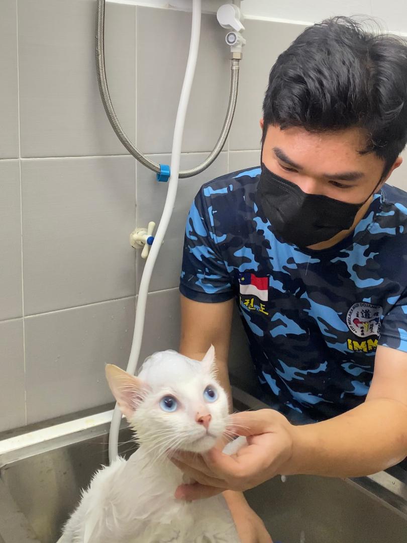 ​有故事的人：爱猫者收养流浪猫设收容所
