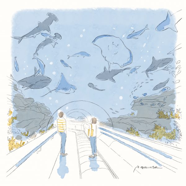 【大牌档】农夫／鱼