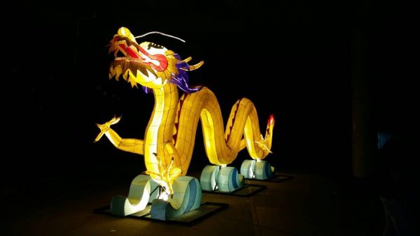 【新春花灯／02】大马花灯重要推手——马来西亚花灯艺术协会