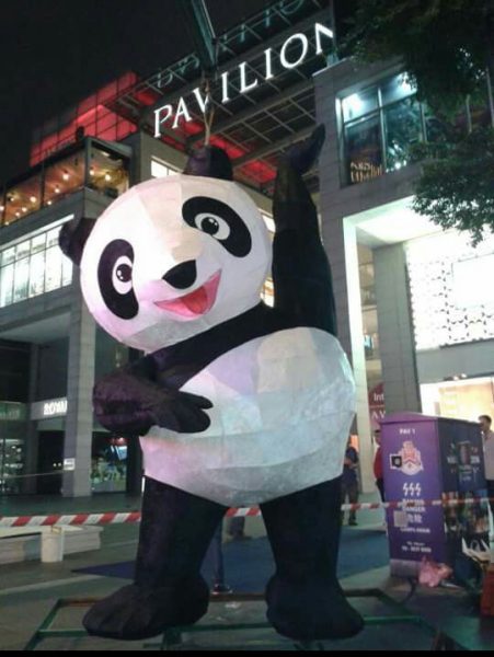 【新春花灯／02】大马花灯重要推手——马来西亚花灯艺术协会