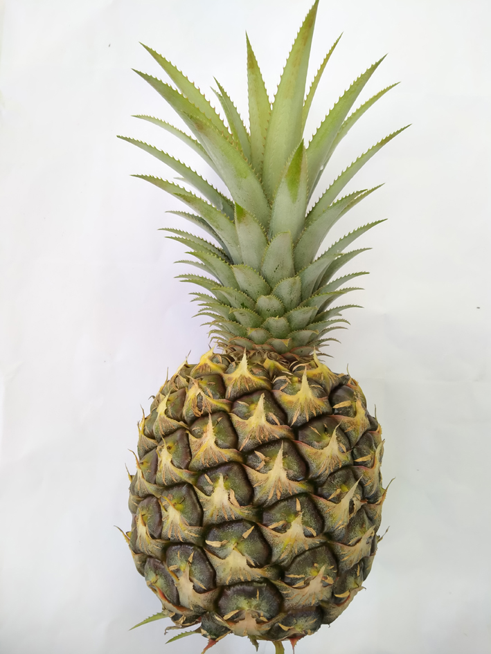 【黄梨01】佳选黄梨旺旺来