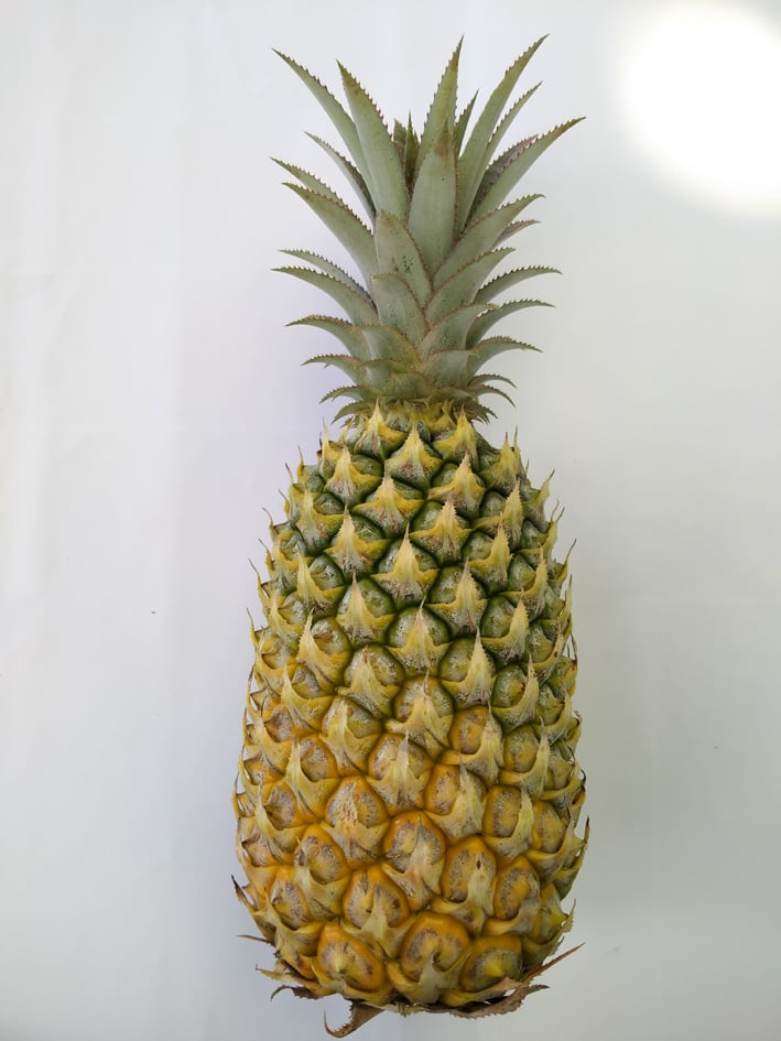 【黄梨01】佳选黄梨旺旺来