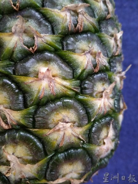 【黄梨02】精挑细选“旺来”到你家