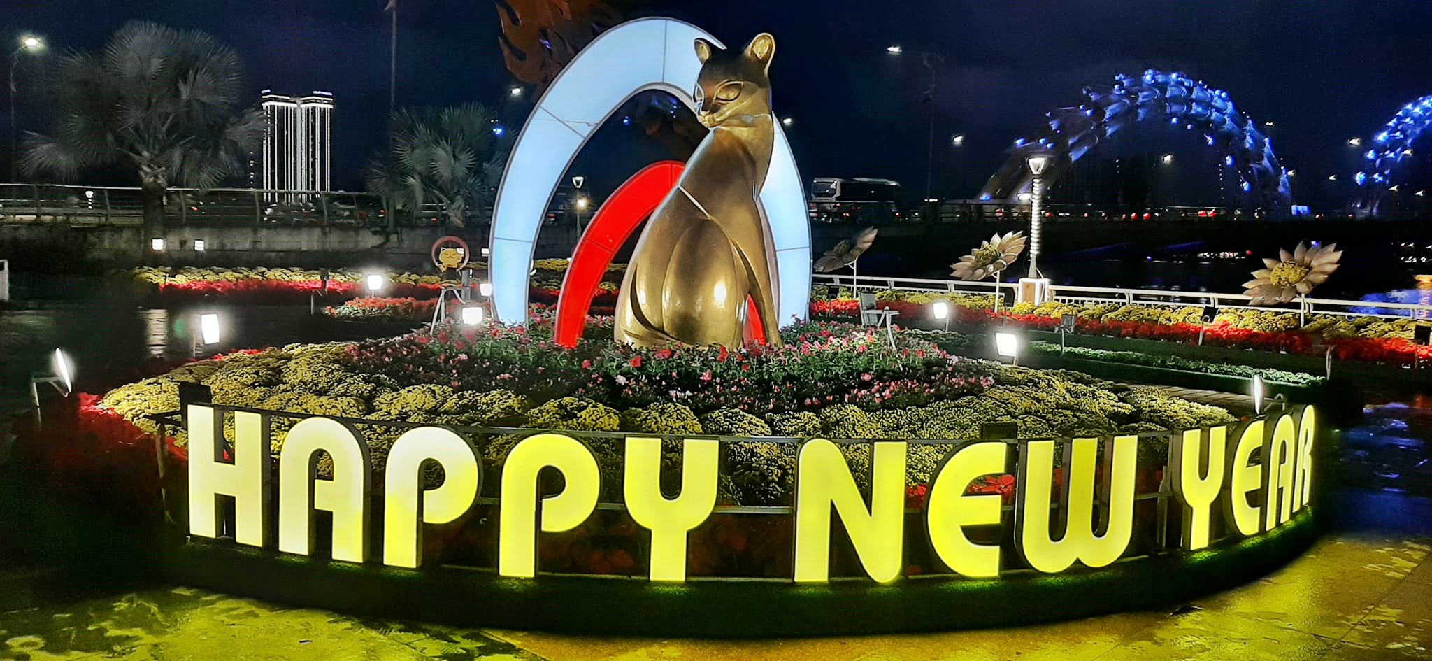 出国迎“猫”年，回国却庆“兔”年！