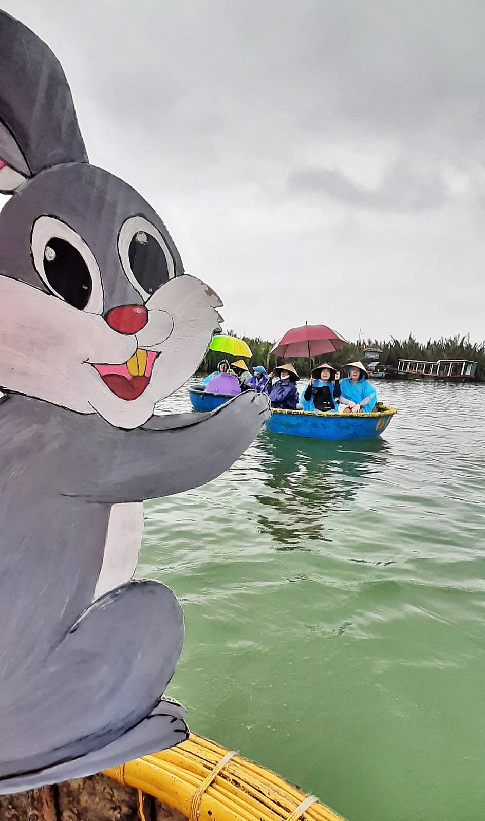 出国迎“猫”年，回国却庆“兔”年！