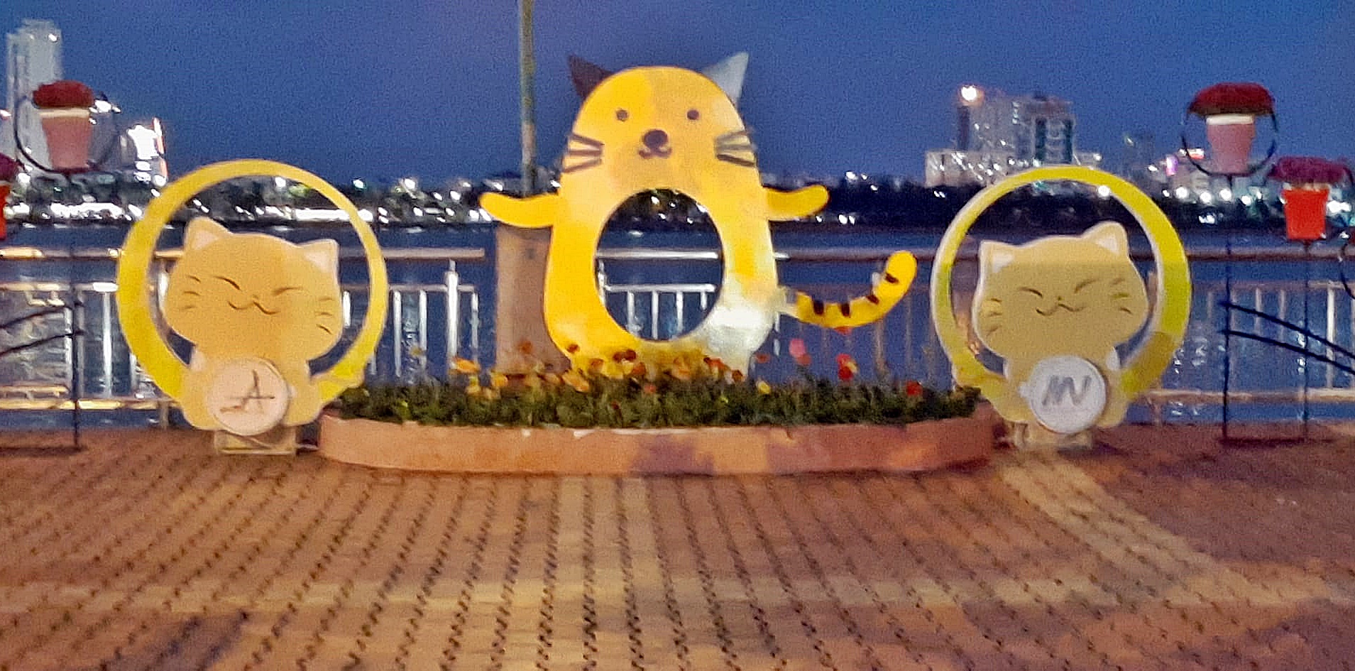 出国迎“猫”年，回国却庆“兔”年！