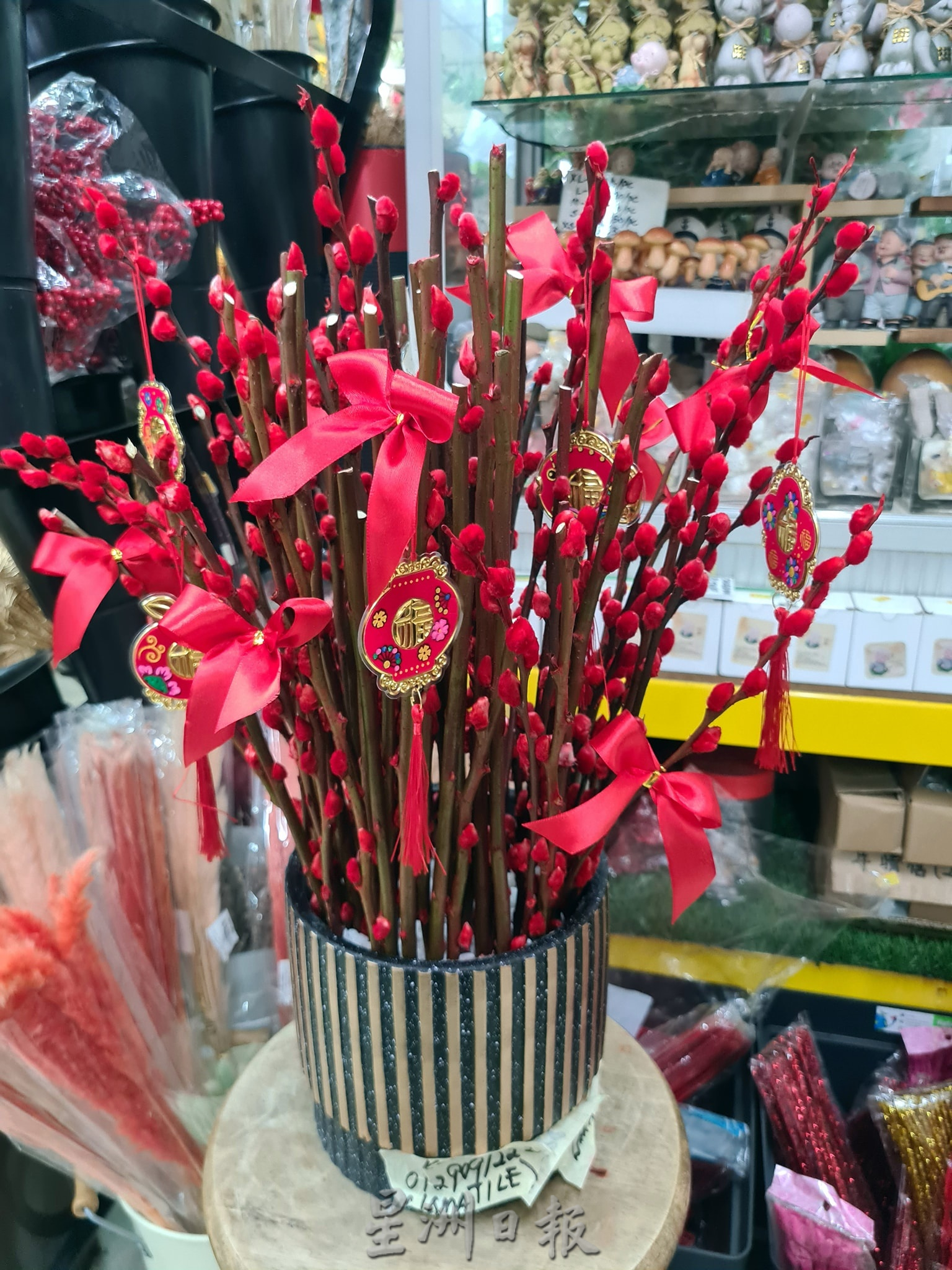 东:哥市年花盆栽陆续上市