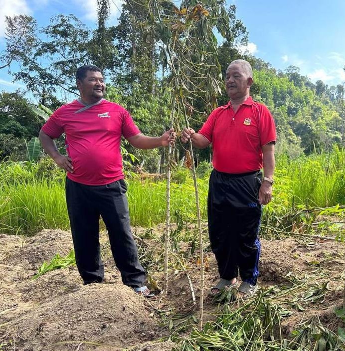 东:话望生柏鲁克原住民村有野象出没毁农作物,造成逾2万令吉的损失!