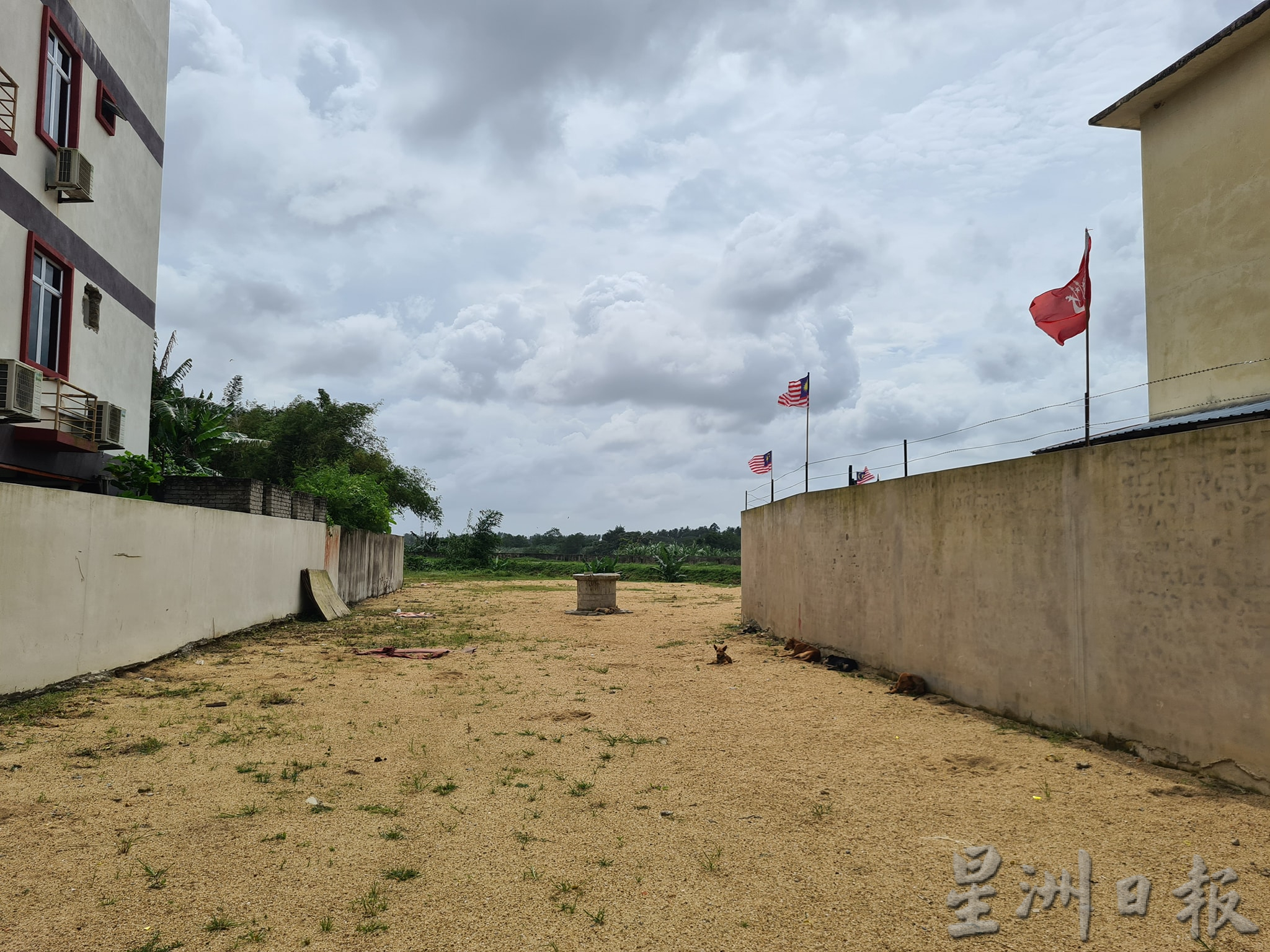 杨巧双:将与青体部门探,如何协助丹篮总及运动员们