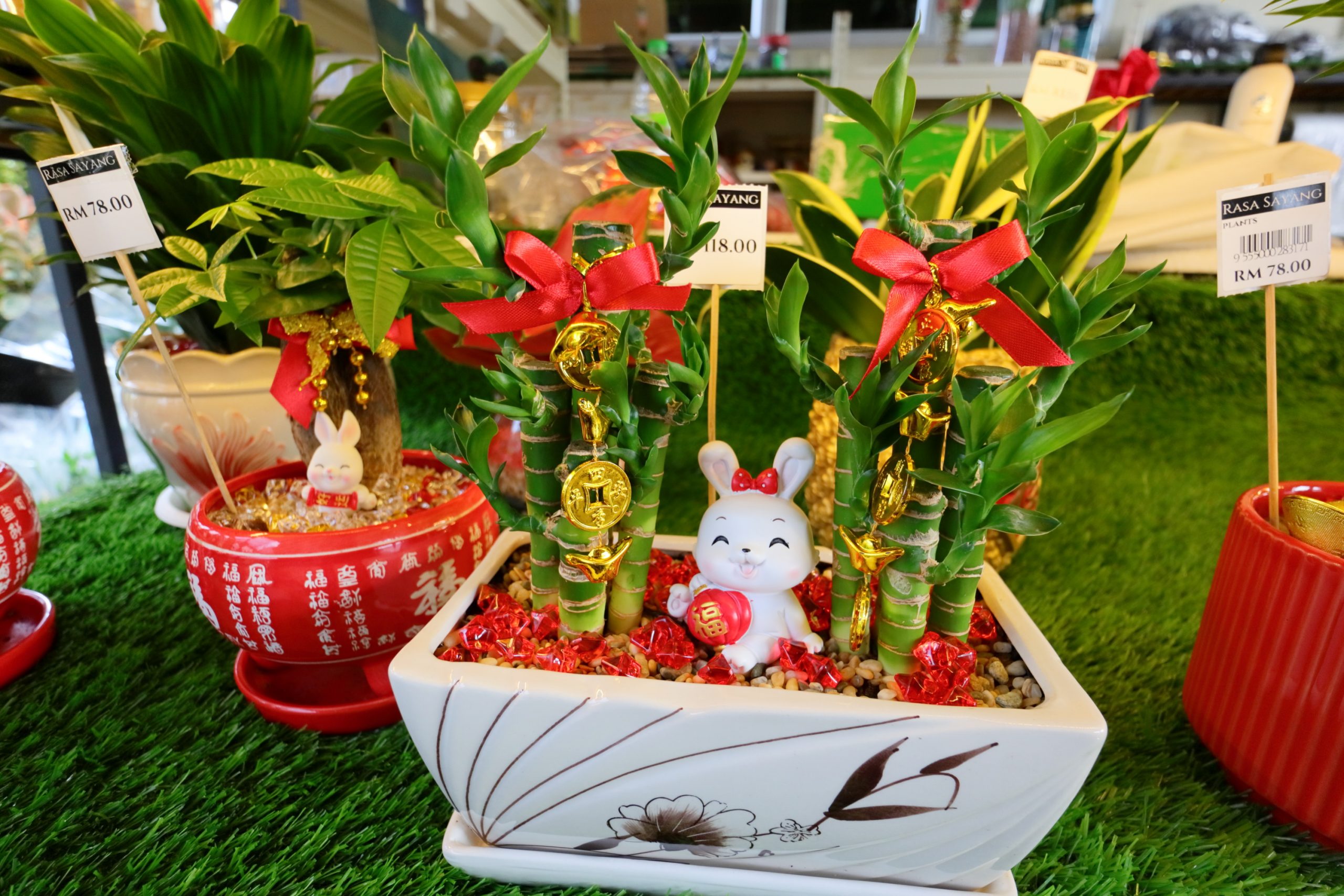 东／画页：花圃百花争艳，春意盎然。
