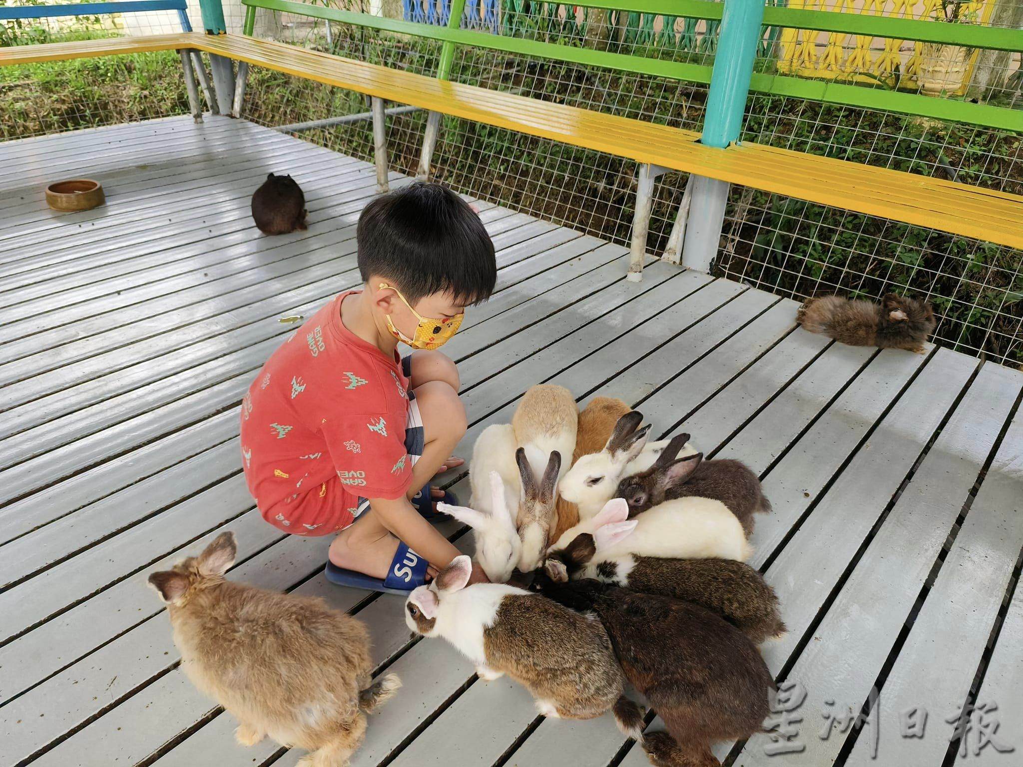 新春假期游兔子园放松身心灵,来个快乐亲子游