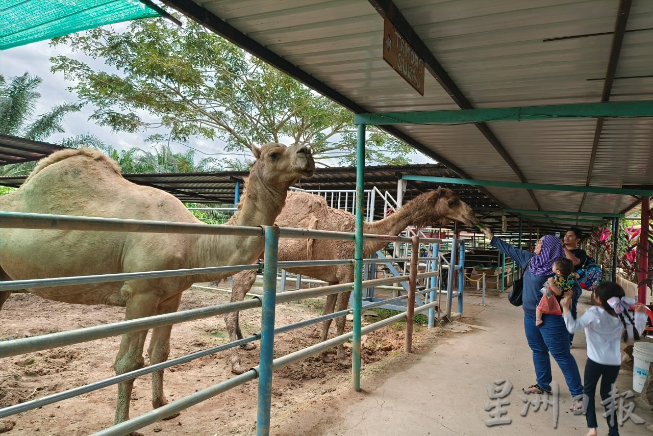 新春假期游兔子园放松身心灵,来个快乐亲子游