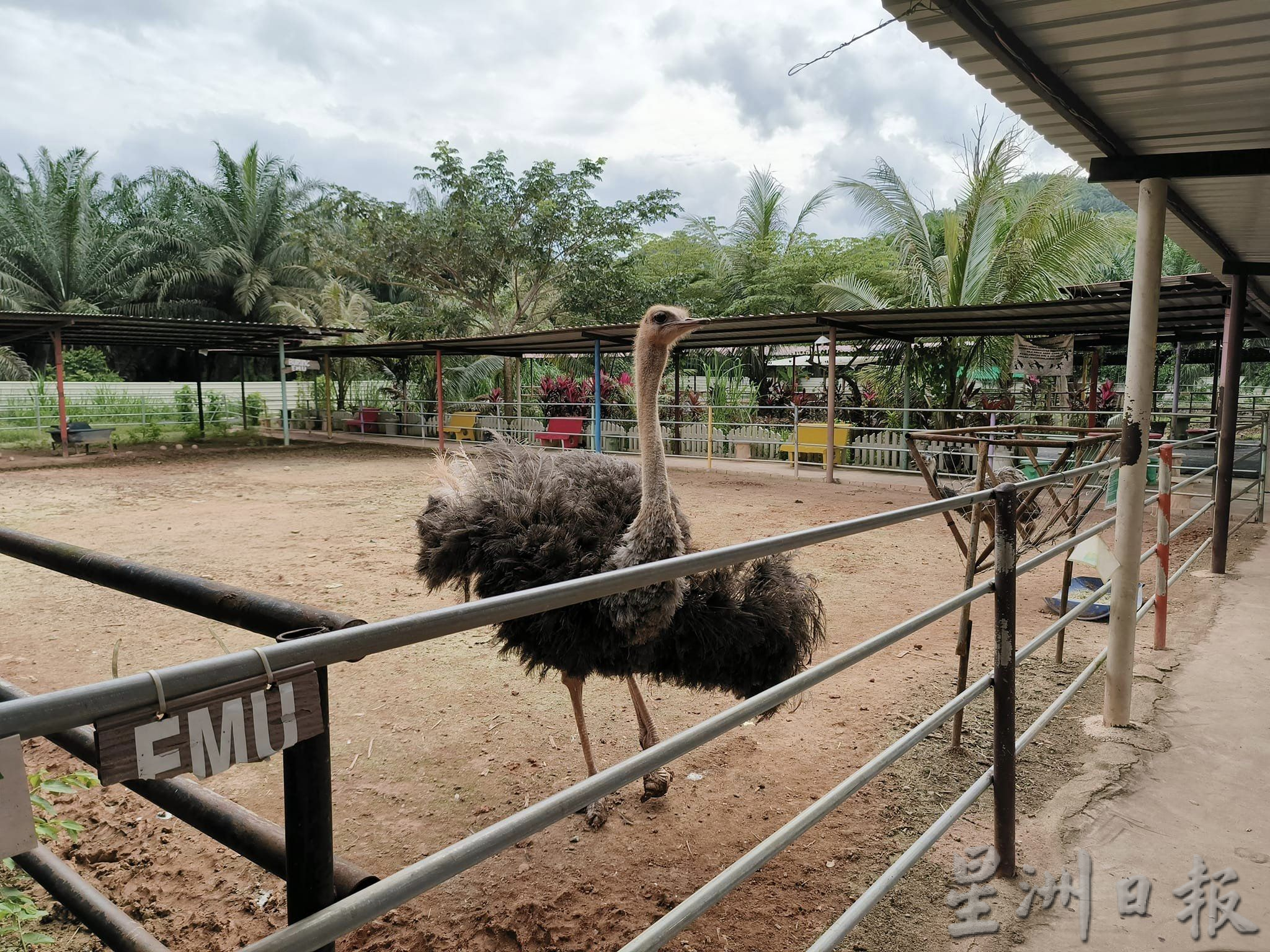 新春假期游兔子园放松身心灵,来个快乐亲子游
