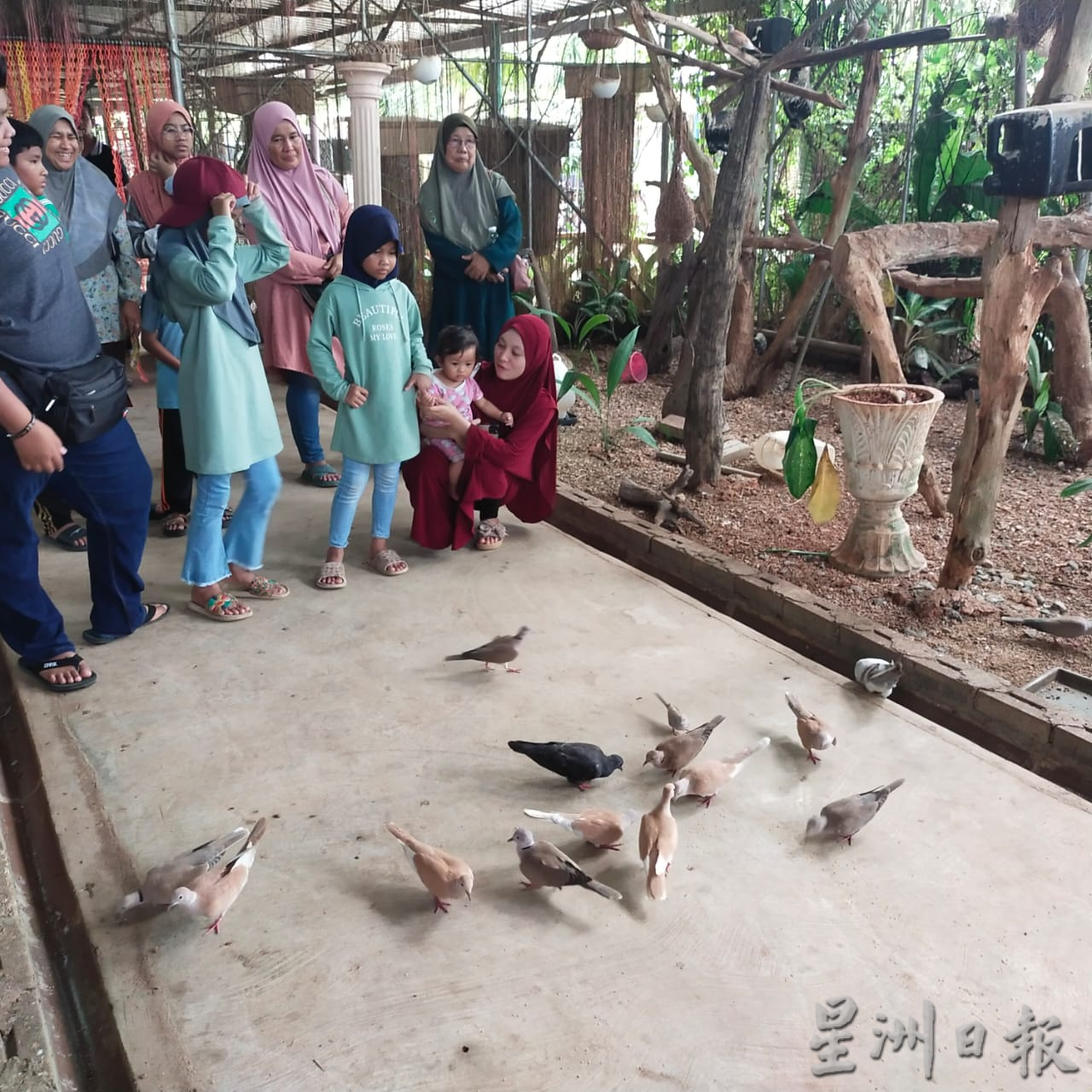 新春假期游兔子园放松身心灵,来个快乐亲子游