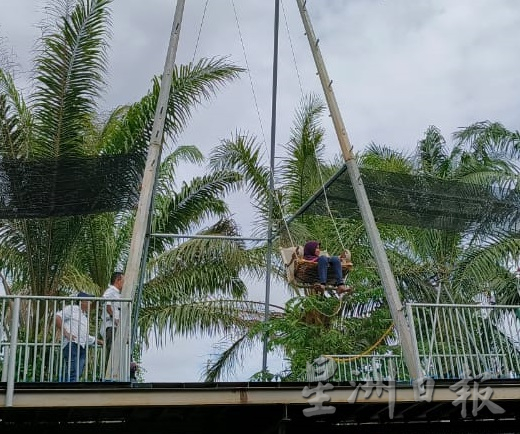 新春假期游兔子园放松身心灵,来个快乐亲子游