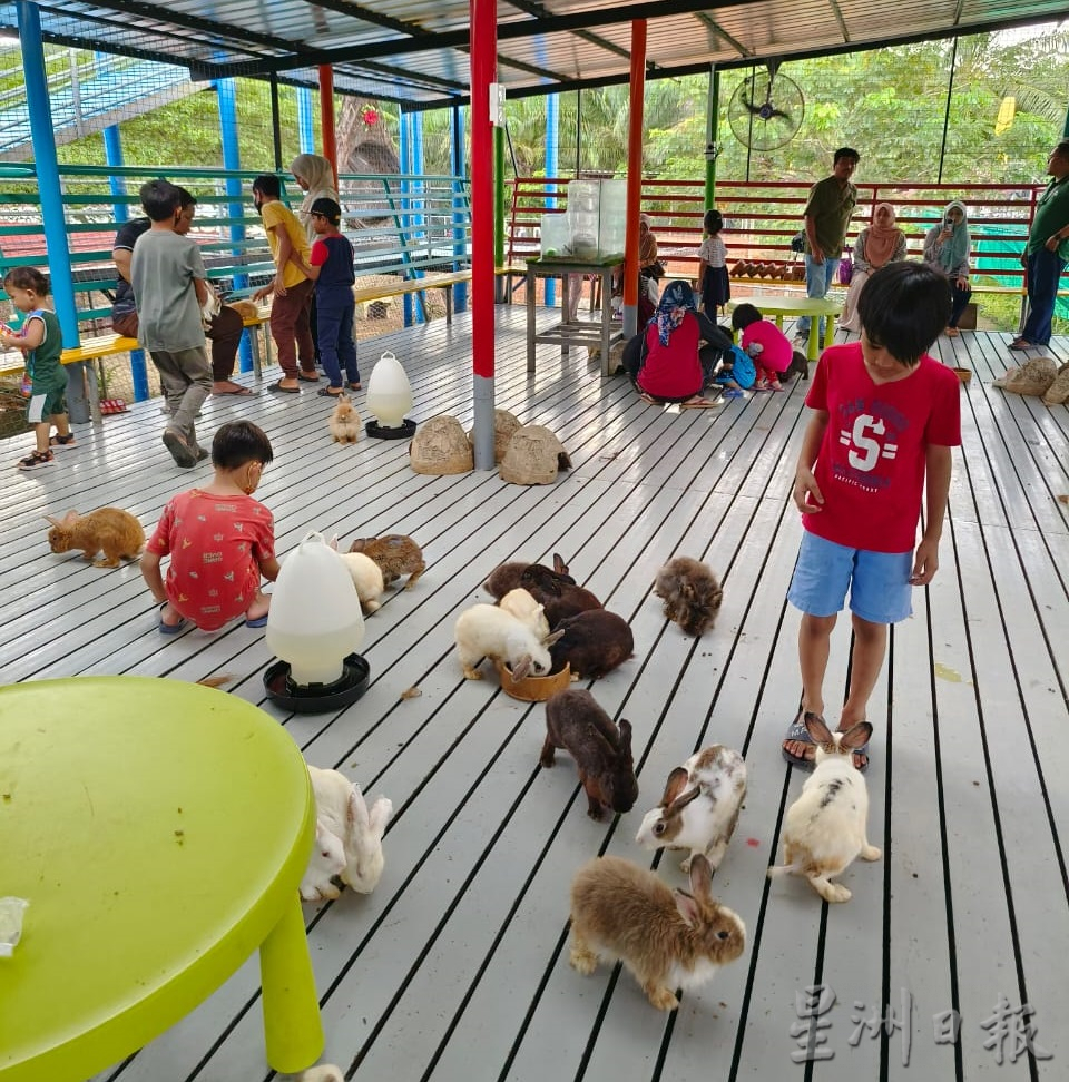 新春假期游兔子园放松身心灵,来个快乐亲子游