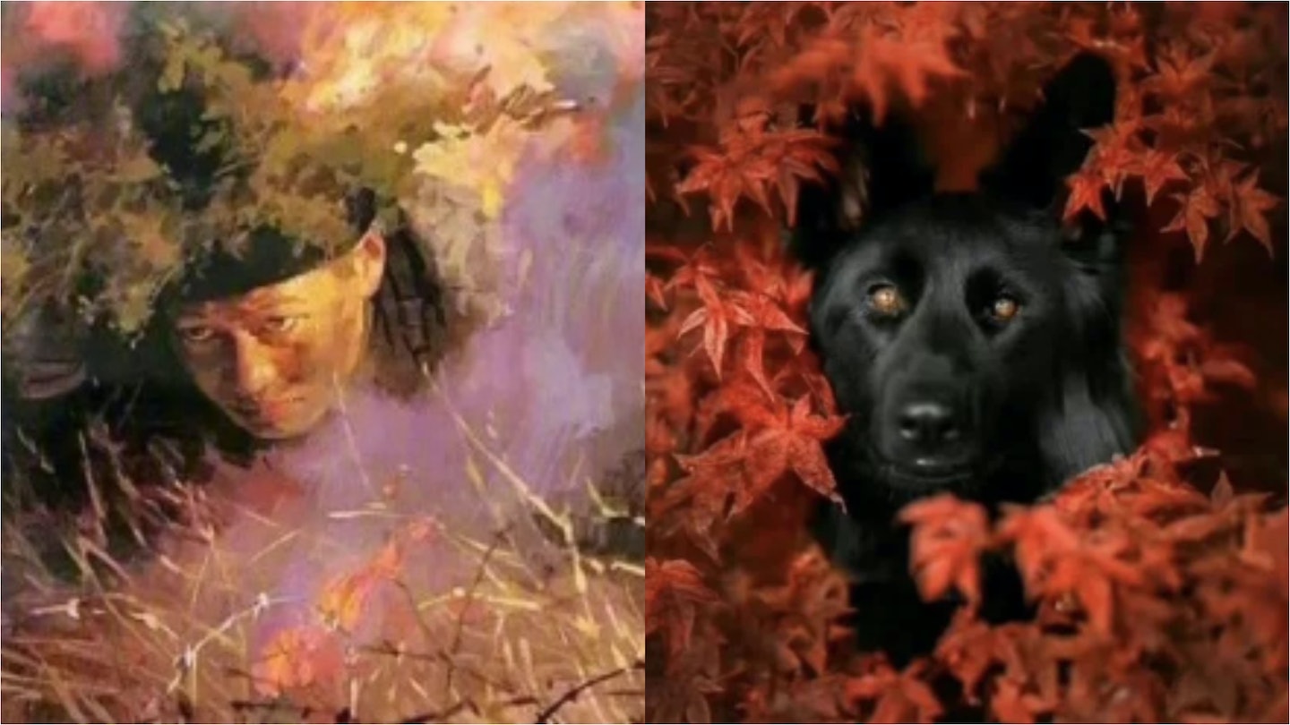 中国控索尼微博屡辱华 贺卡“有尼更精彩”也被删