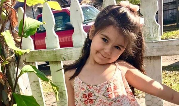 主人放任到处跑！比特犬突然闯进邻居家暴咬7岁女童破头死亡 