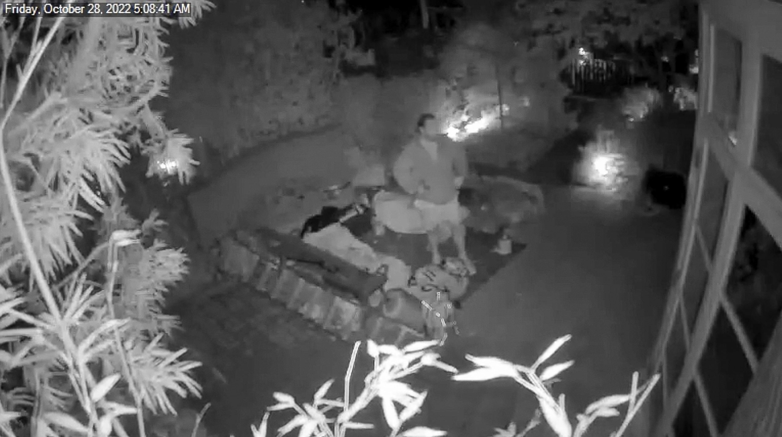 佩洛西丈夫遇袭骇人画面首曝光 抢铁锤失败后遭重击倒地