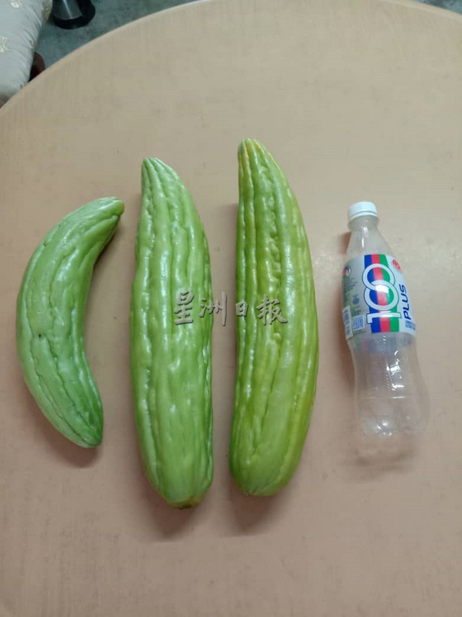 供星洲网:不怕吃苦?还是希望苦尽甘来?菜农新年期间免费派苦瓜,五分钟内被抢光