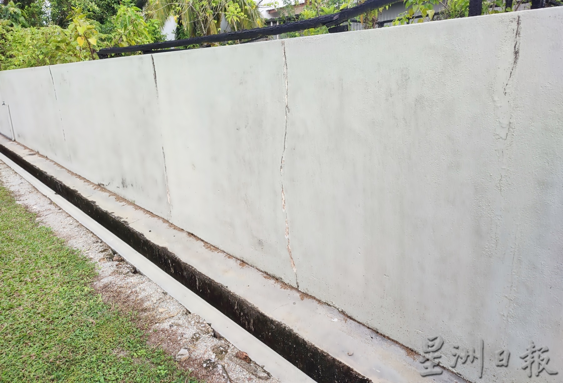 先下//霹:显著/为培养完整校园圆梦 董家教校友视频筹款