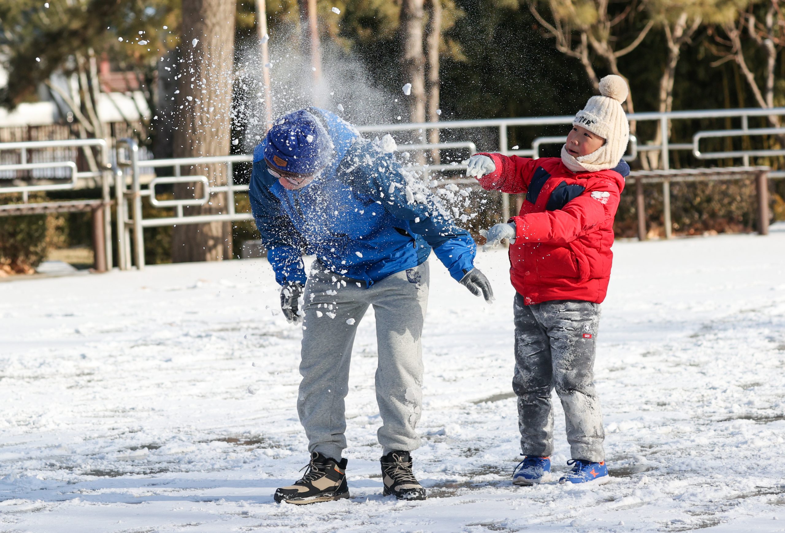 北京市迎来兔年第一场降雪