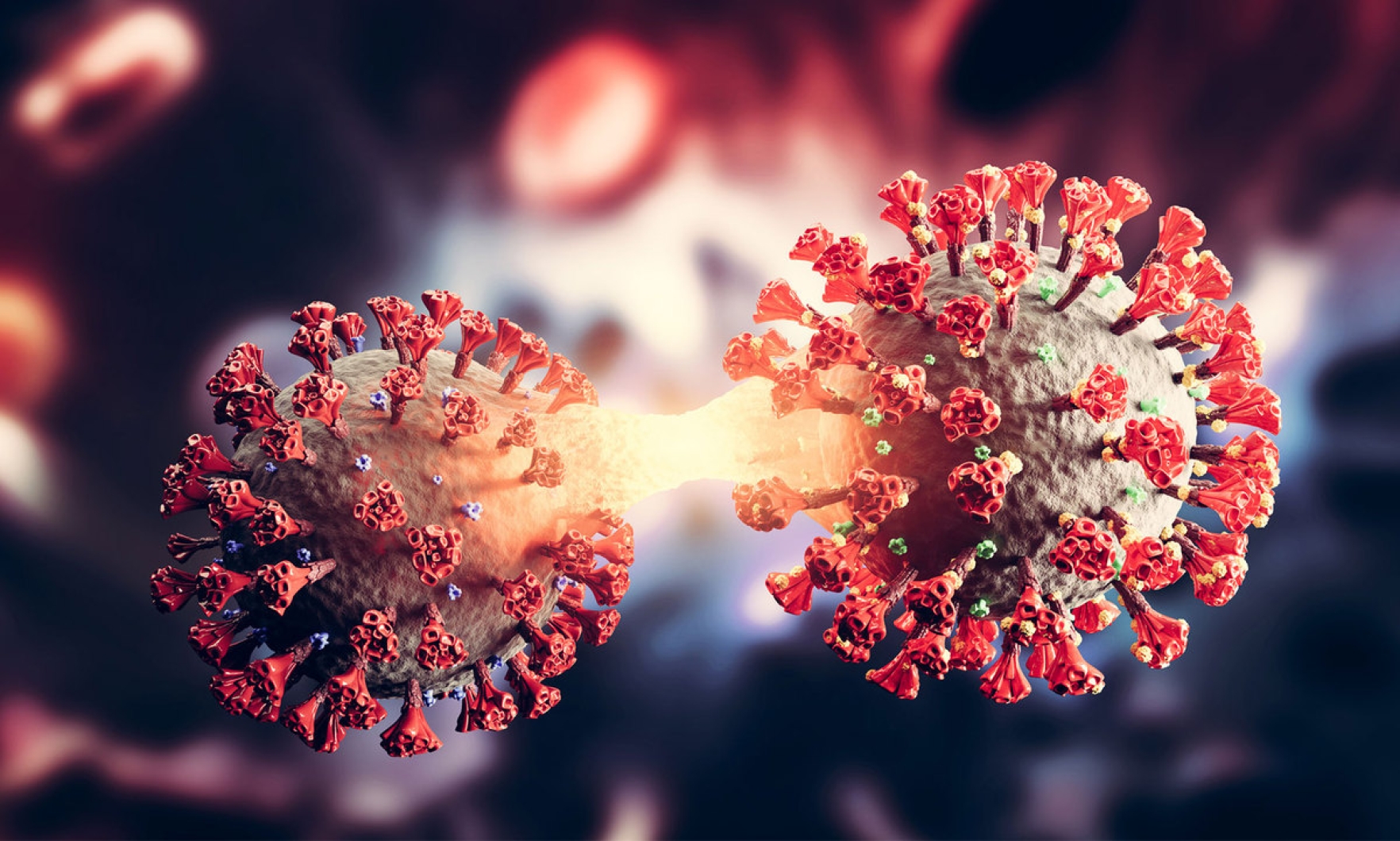 南非发现首起XBB.1.5变种毒株冠病病例