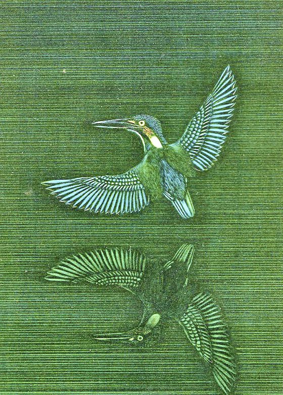 吴伟才/加山又造──昆虫·山海·裸女