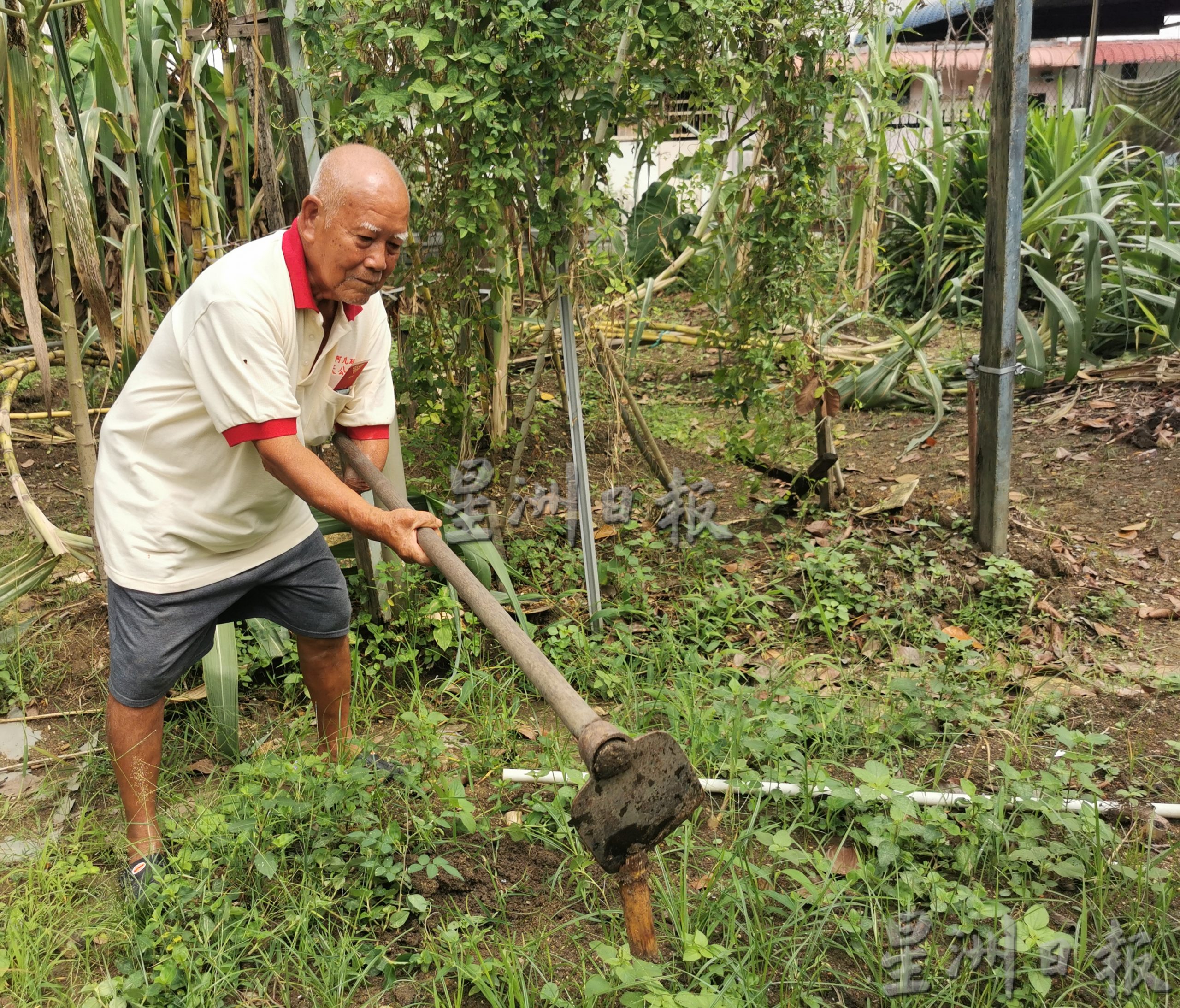 92岁独臂翁活得励志