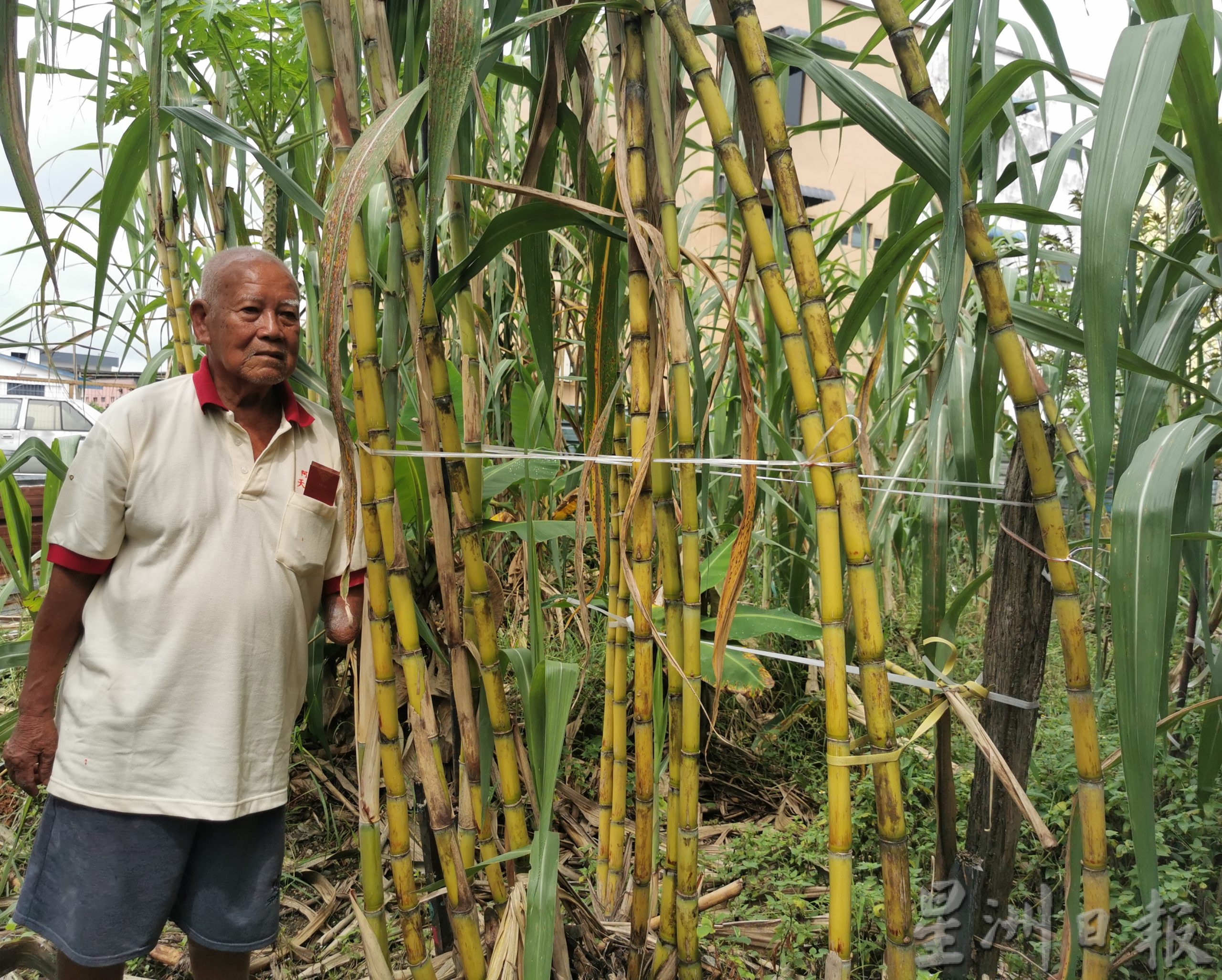 92岁独臂翁活得励志