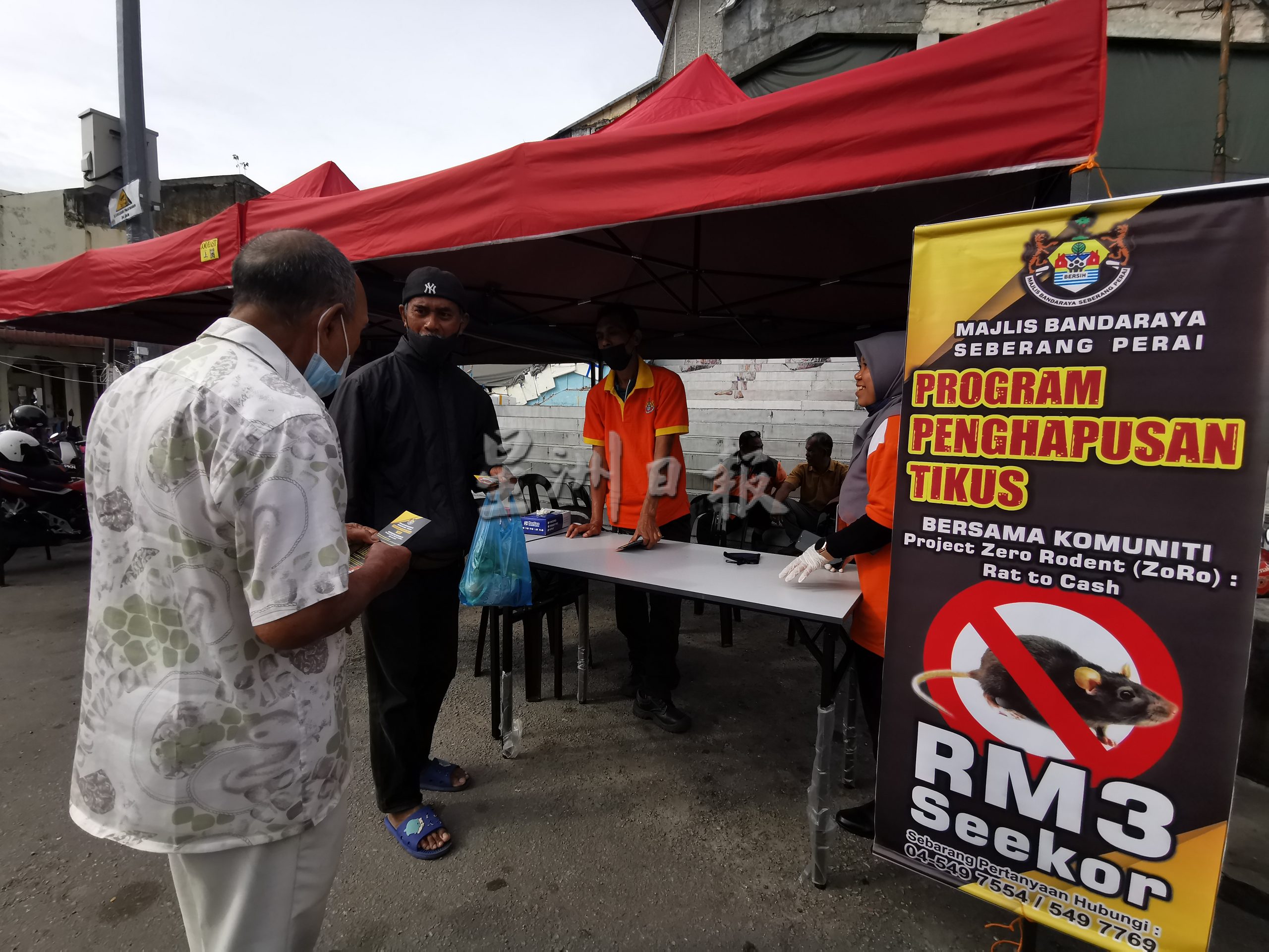 (大北马)捉老鼠换钱首日反应淡