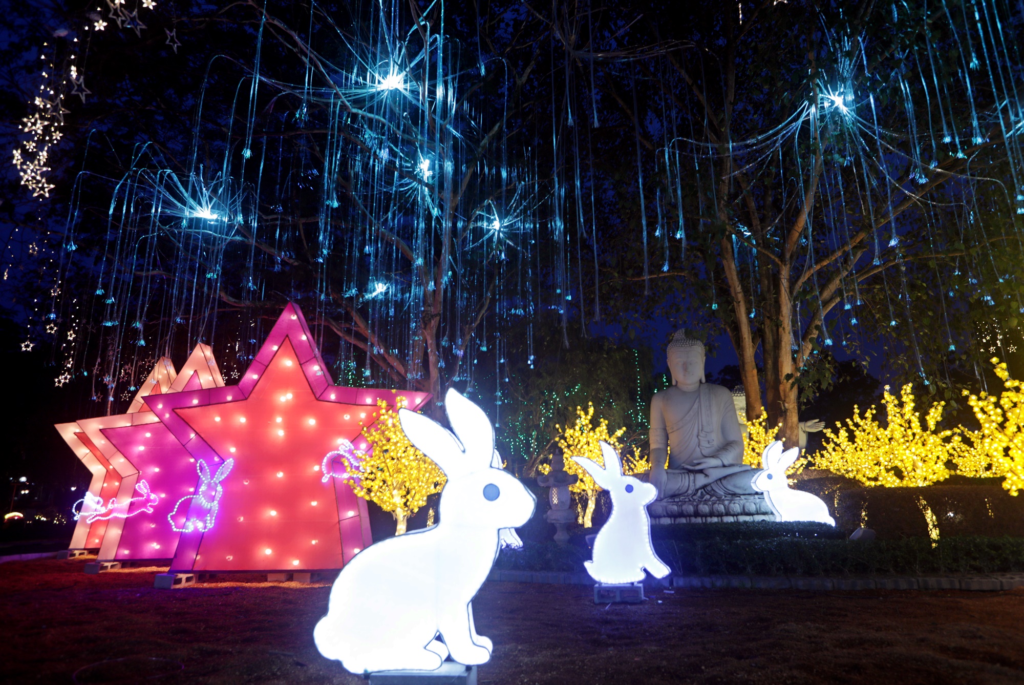 大都会封底（画页）/东禅寺“新春平安灯会及花艺展”
