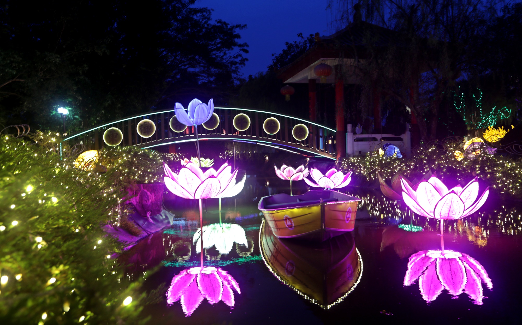 大都会封底（画页）/东禅寺“新春平安灯会及花艺展”