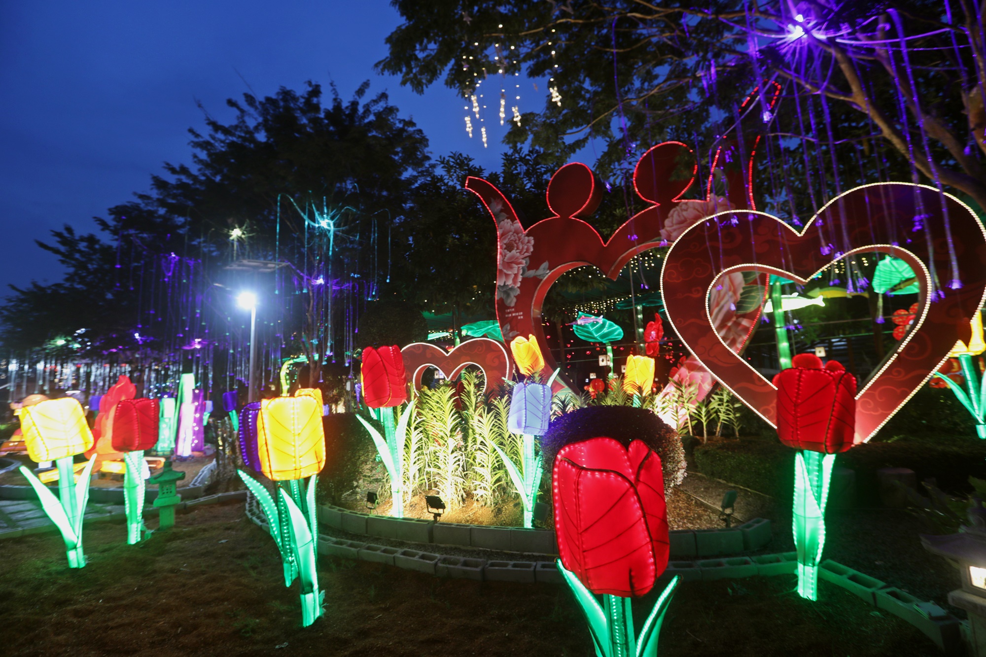 大都会封底（画页）/东禅寺“新春平安灯会及花艺展”