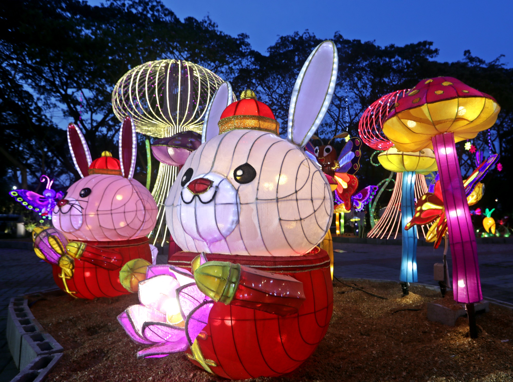 大都会封底（画页）/东禅寺“新春平安灯会及花艺展”