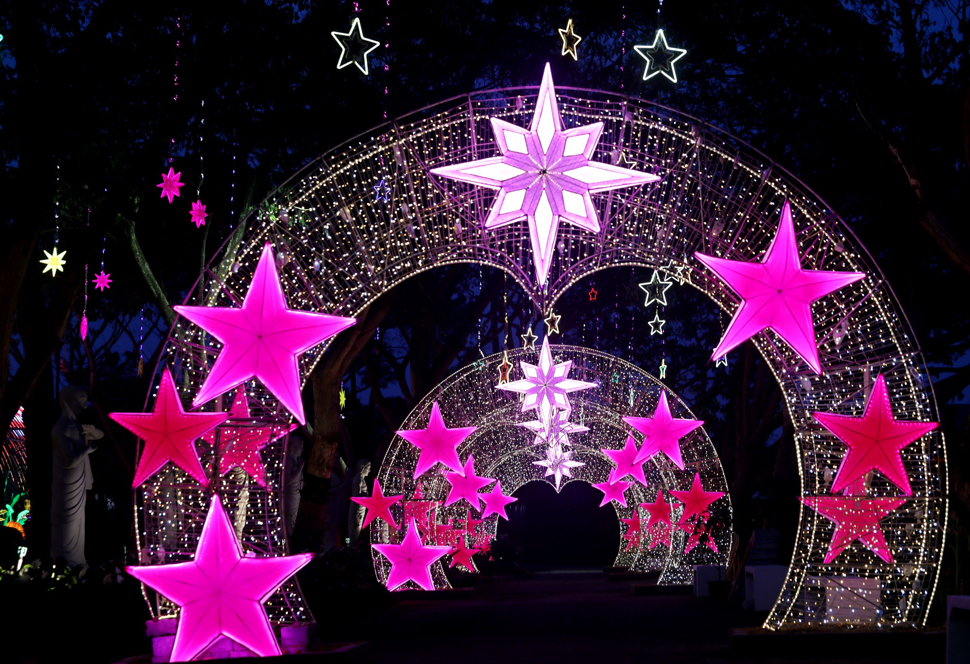 大都会封底（画页）/东禅寺“新春平安灯会及花艺展”