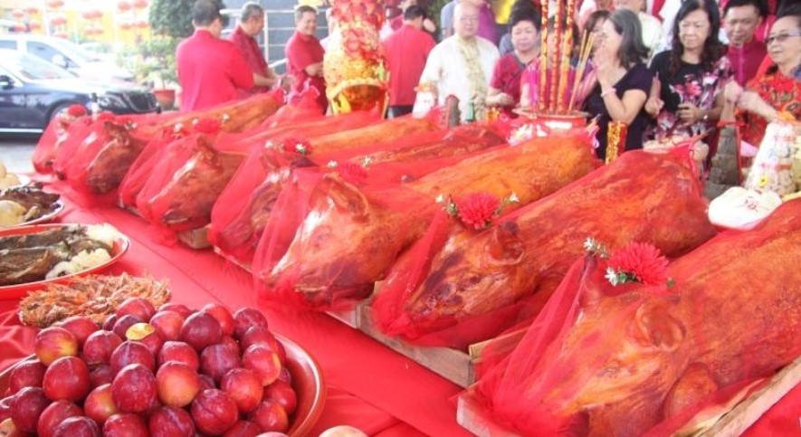 大都会封面/生猪价虽大涨，但天公诞金猪销量不受影响！