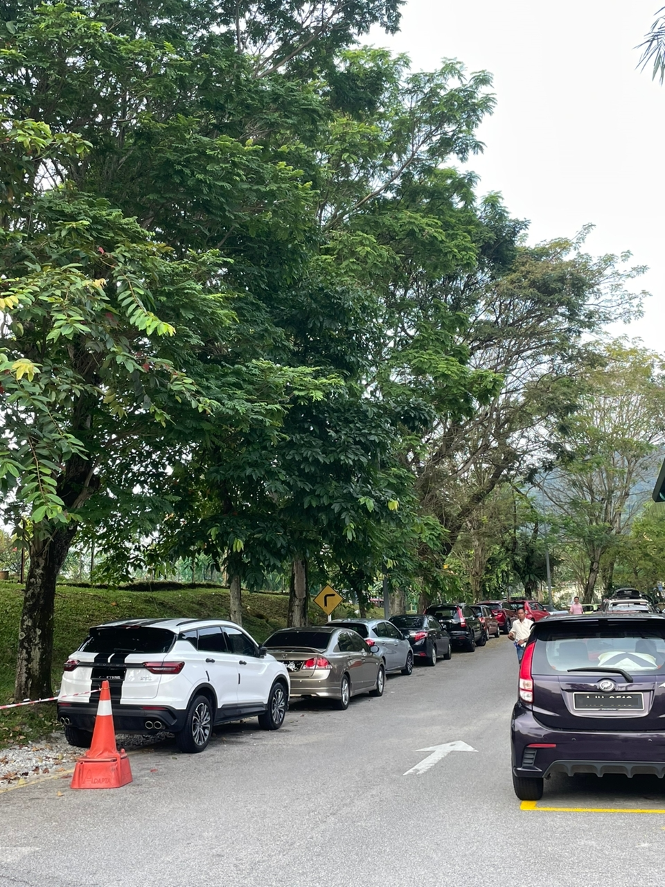 大都会/封面/跟进士拉央医院征收停车费
