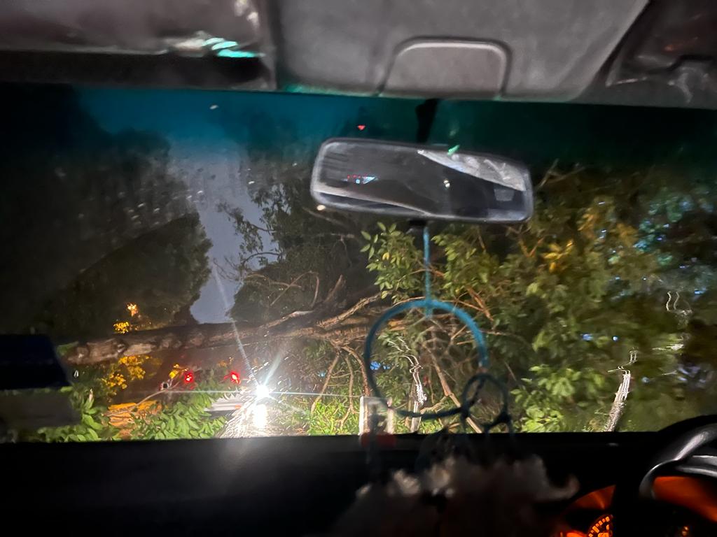 大都会/巴生频下雨,昨夜大雨吹倒大树