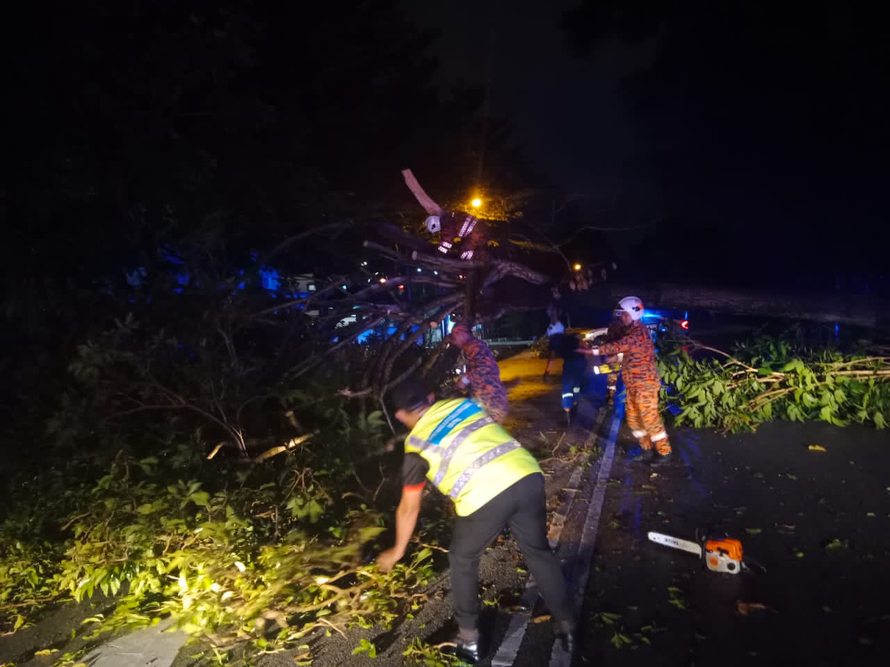 大都会/巴生频下雨,昨夜大雨吹倒大树