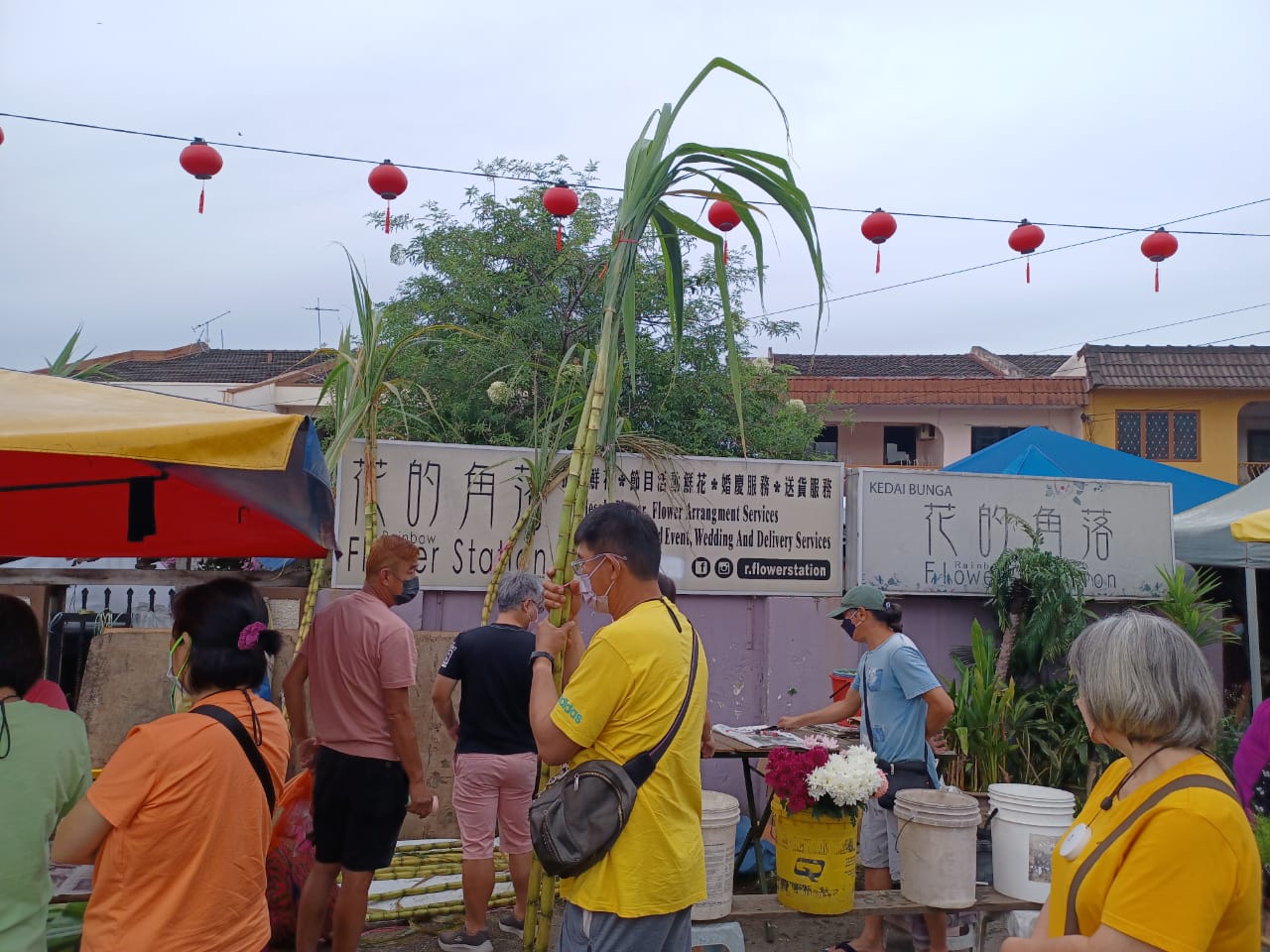 大都会/年初九拜天公,蕉赖十一哩新村和双溪龙镇甘蔗难求,一对甘蔗叫价26令吉