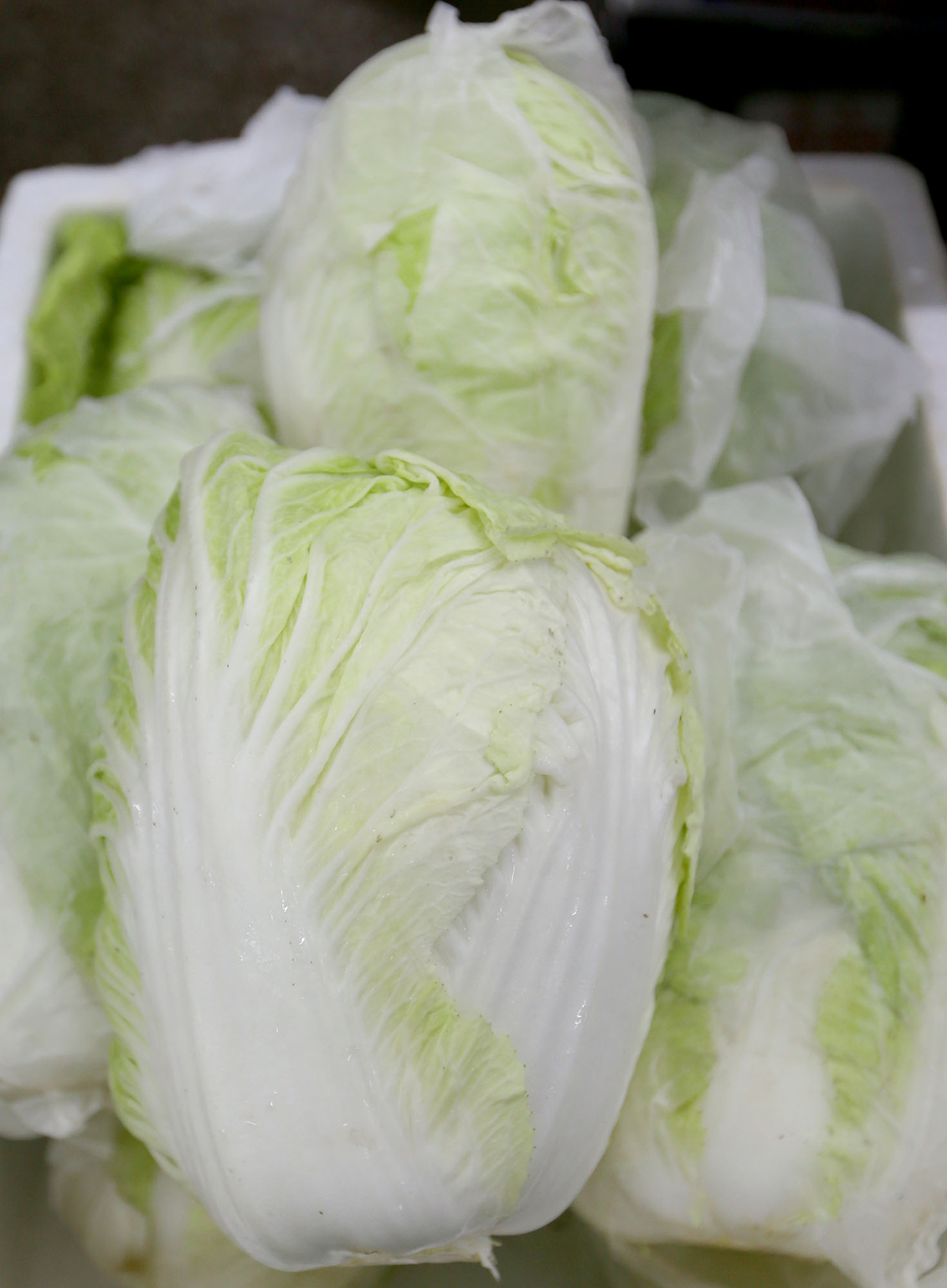 大霹雳焦点／走地鸡猪手花肉抢手 年菜热卖年鱼微降