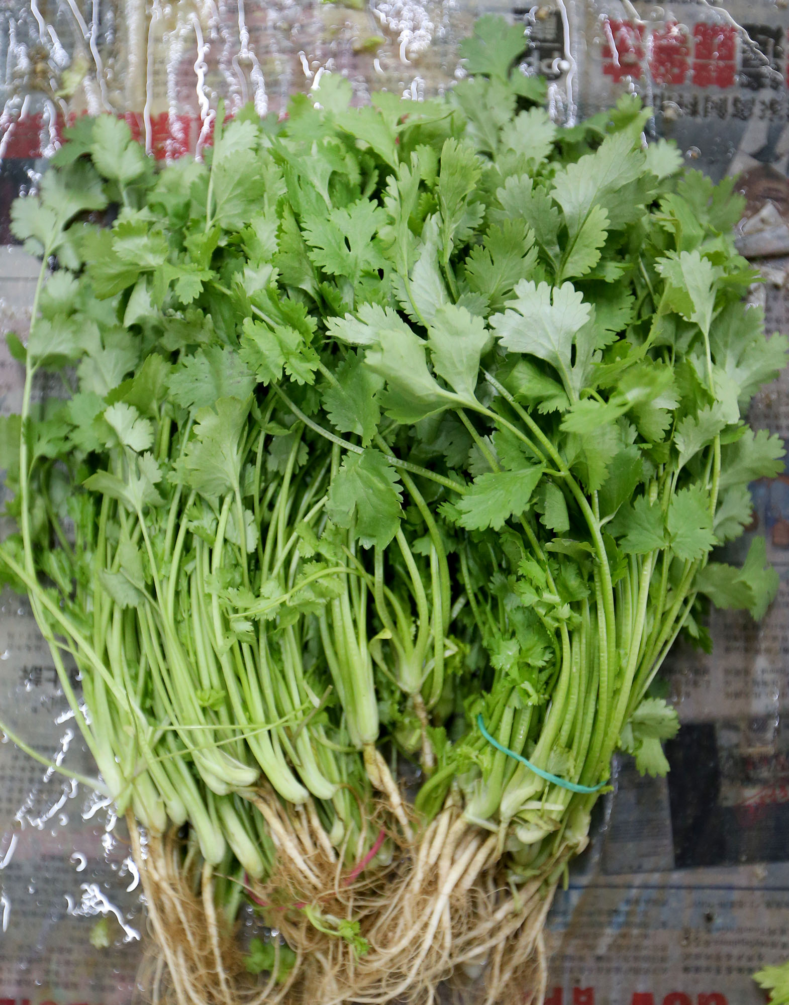 大霹雳焦点／走地鸡猪手花肉抢手 年菜热卖年鱼微降