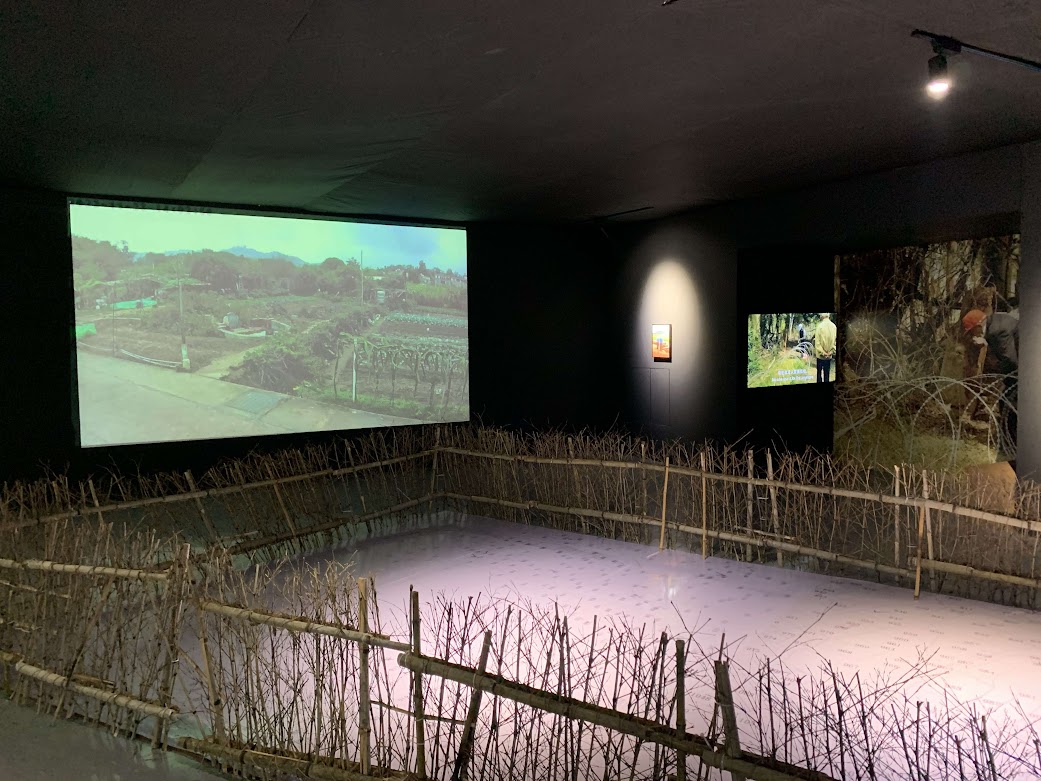 夺“集美·阿尔勒发现奖” 陈翠梅勤练法语出席法国摄影节