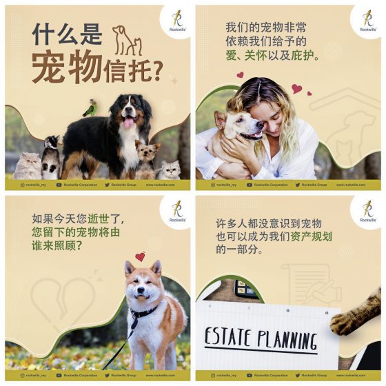 宠物信托服务,做好生前规划,保障毛孩未来生活