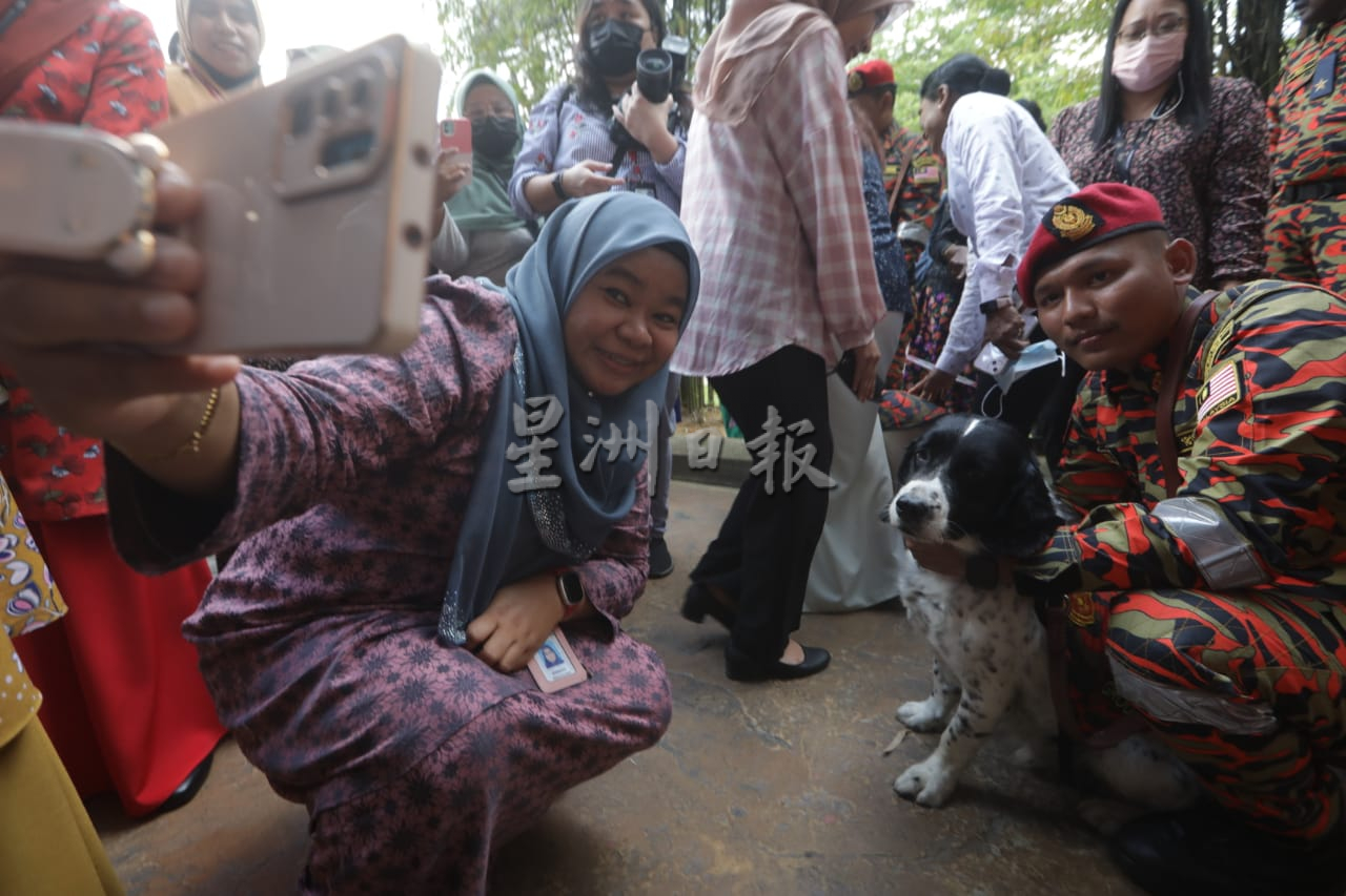 峇冬加里土崩援救有功！消拯K9搜救犬获颁勋章