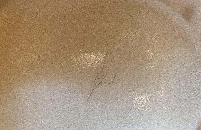 差点吞下鸡蛋上发丝  店员：“香蕉叶来的！”